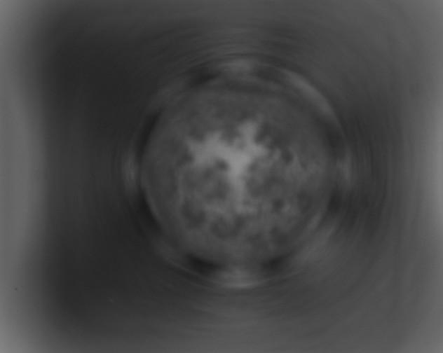 X0000100900381200807081108