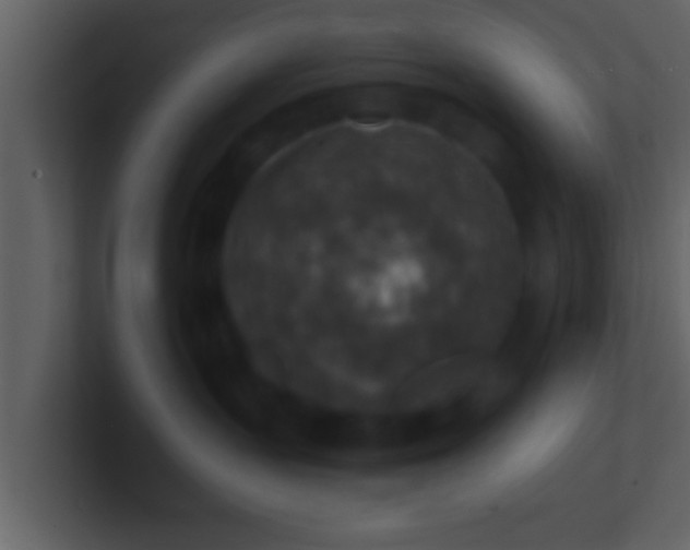 X0000100900383200807081108