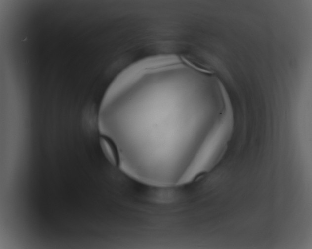 X0000100900384200807081108