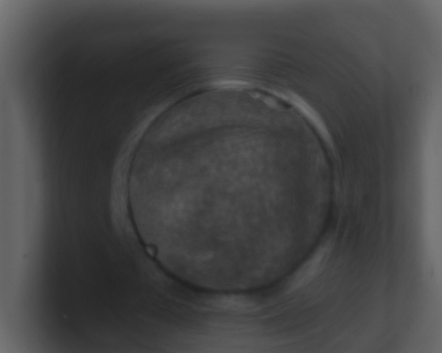 X0000100900385200807081107