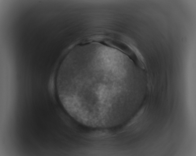 X0000100900386200807081107