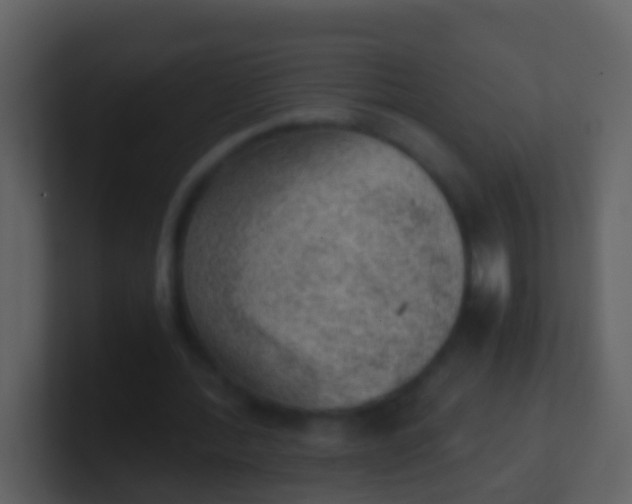 X0000100900388200807081107