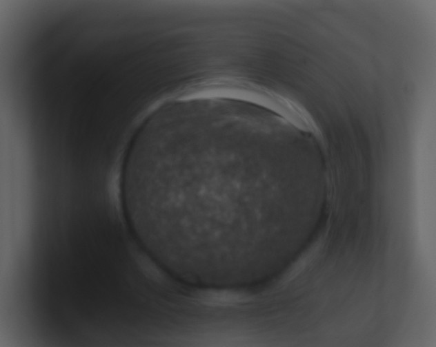 X0000100900389200807081107