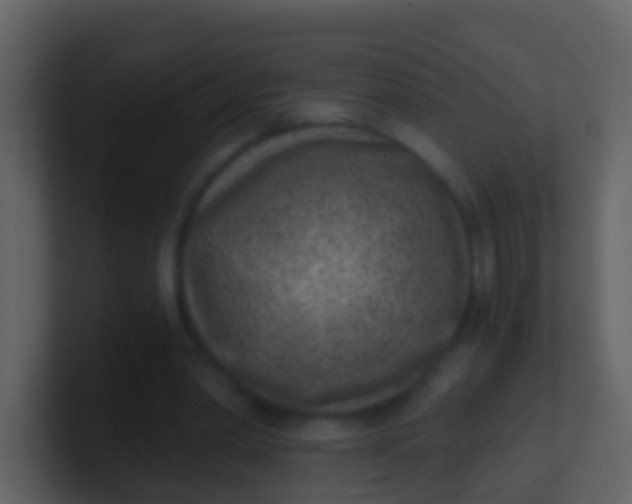 X0000100900390200807081107