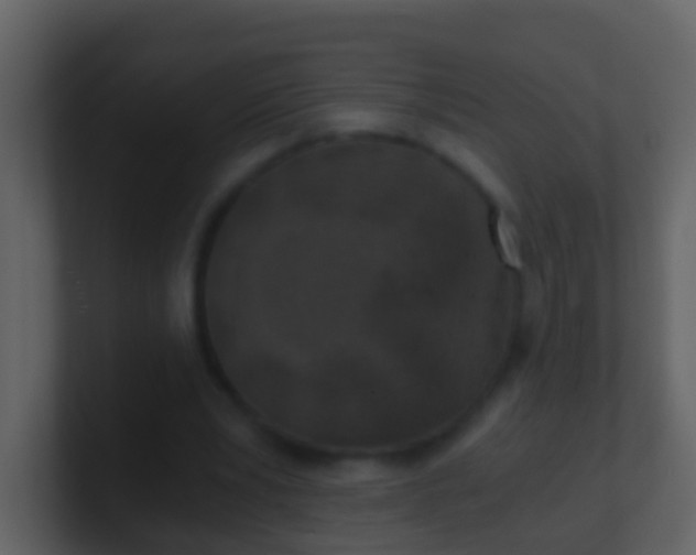 X0000100900391200807081107