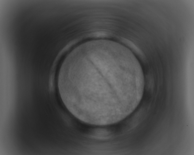 X0000100900392200807081107