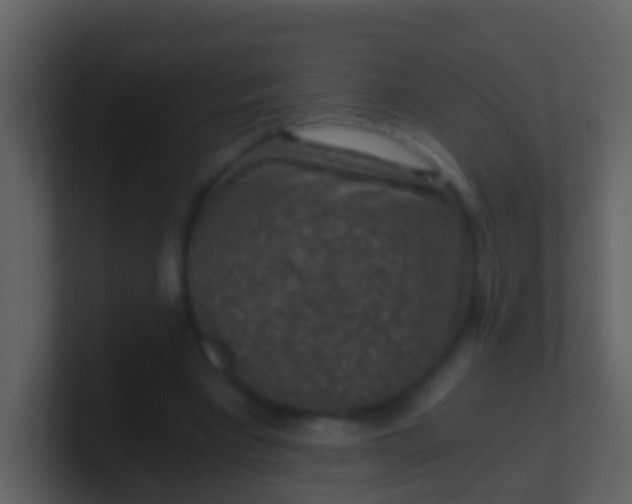 X0000100900393200807081107