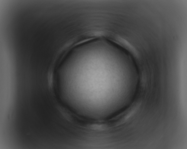 X0000100900394200807081107