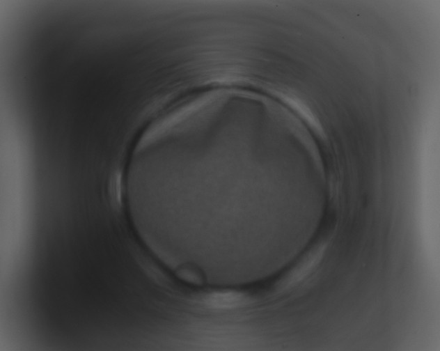 X0000100900397200807081107