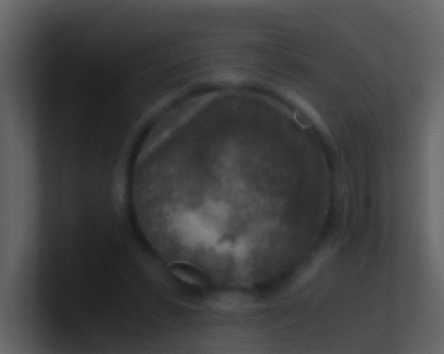 X0000100900399200807081107