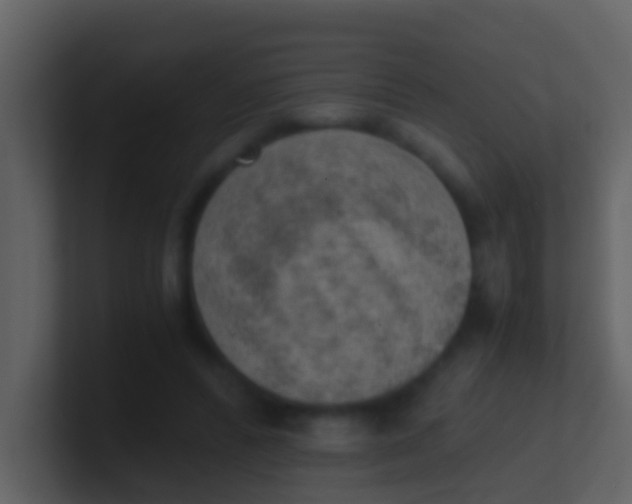 X0000100900400200807081107