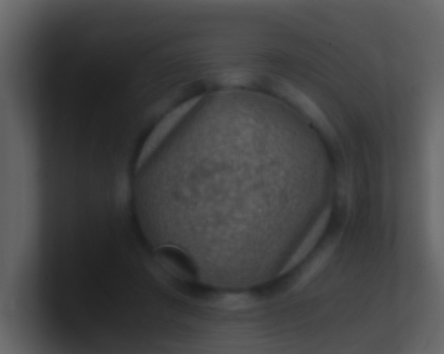 X0000100900401200807081107