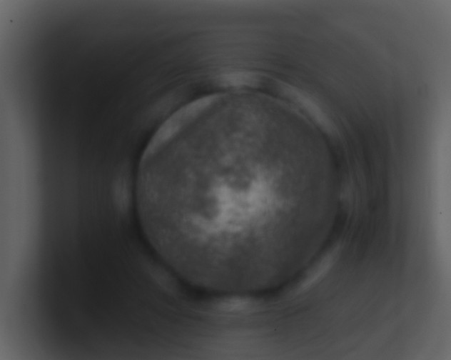 X0000100900402200807081107