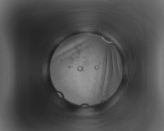 X0000100900403200807081107