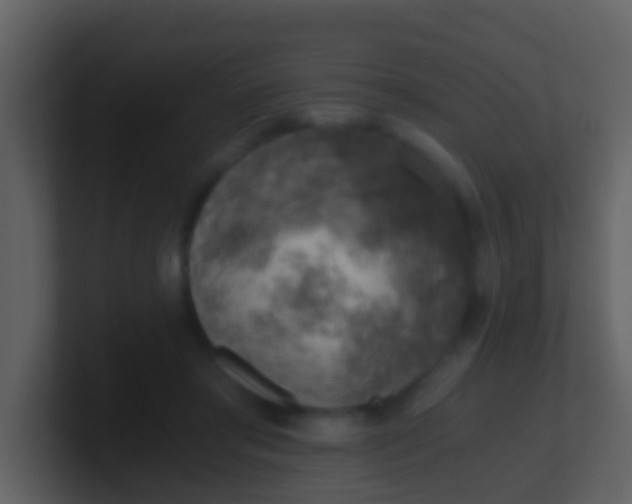 X0000100900405200807081107