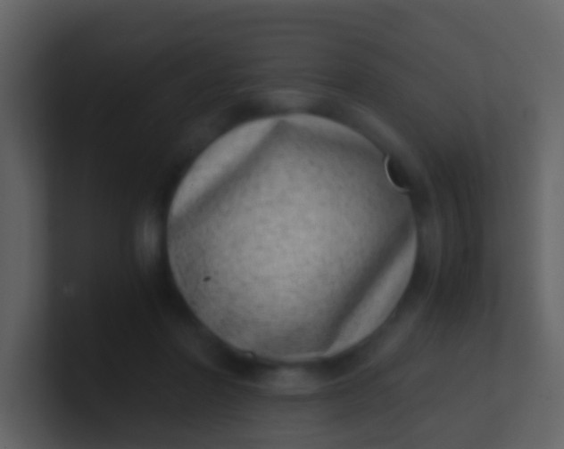 X0000100900406200807081107