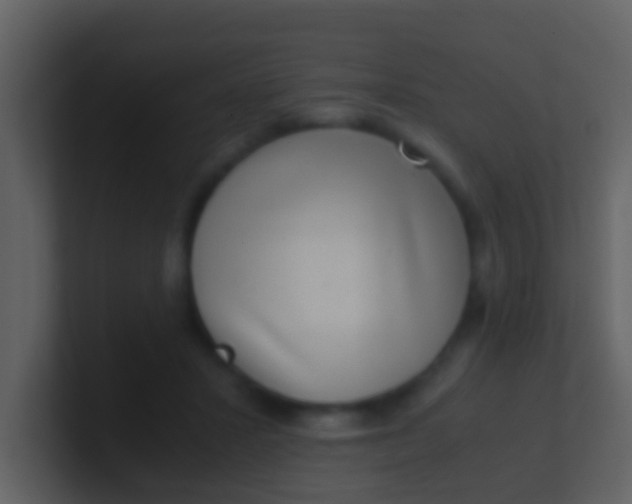 X0000100900407200807081107