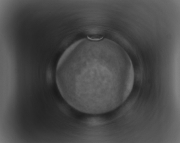 X0000100900408200807081107