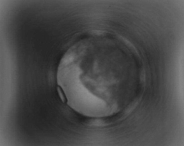 X0000100900409200807081107