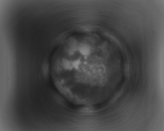 X0000100900410200807081107