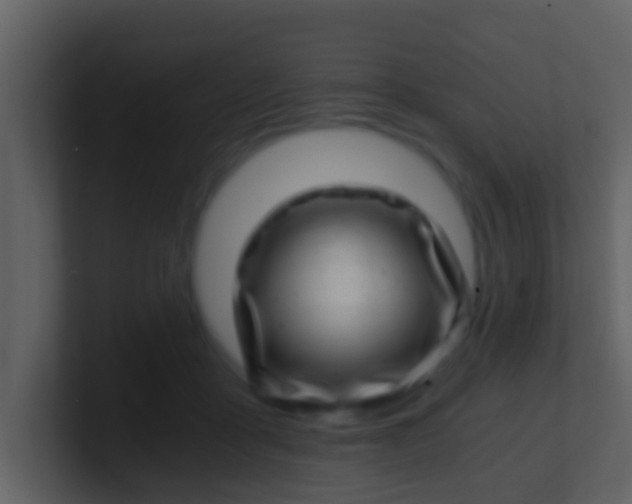 X0000100900411200807081107