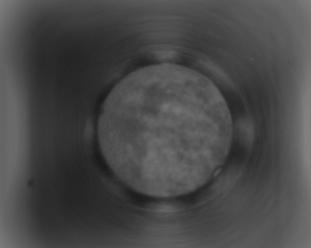 X0000100900412200807081107