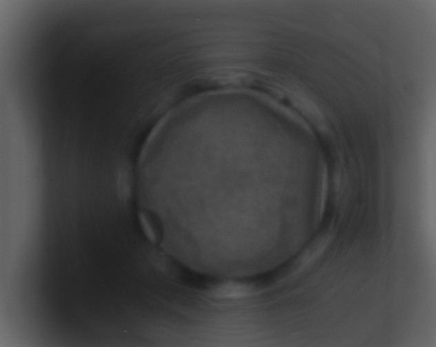 X0000100900413200807081107