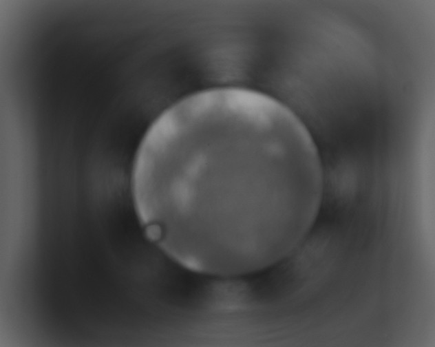 X0000100900415200807081107