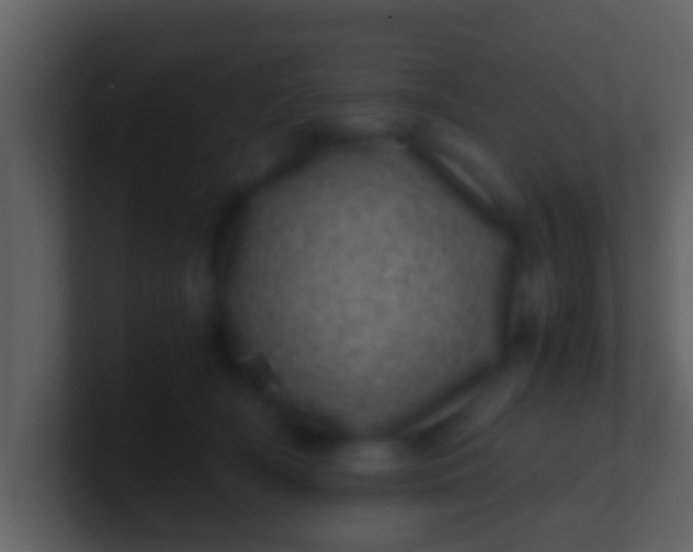 X0000100900418200807081107