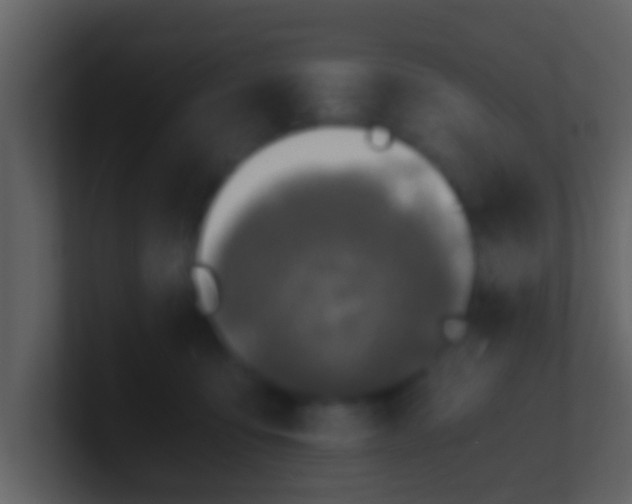 X0000100900419200807081107