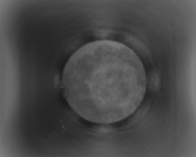 X0000100900420200807081107