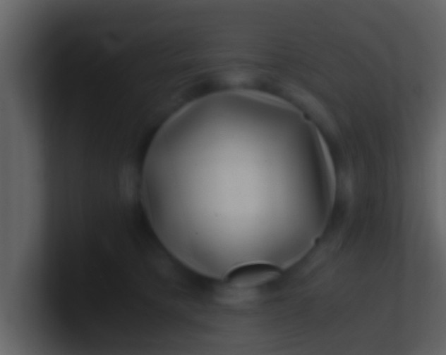 X0000100900421200807081107