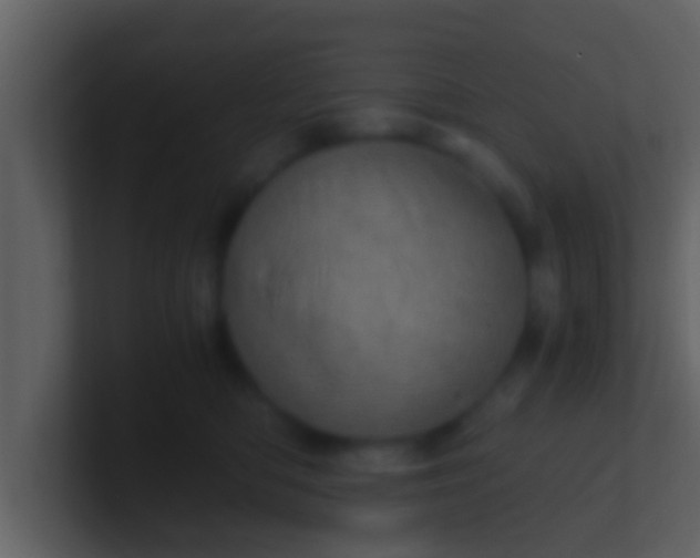 X0000100900422200807081107