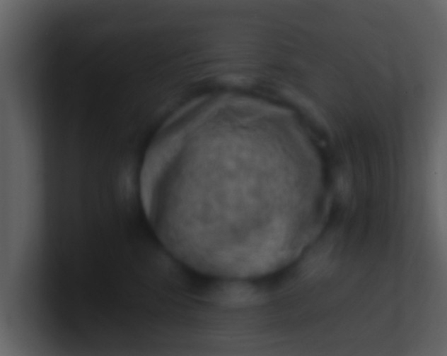 X0000100900424200807081107