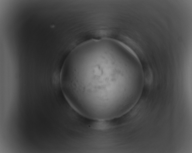 X0000100900425200807081107