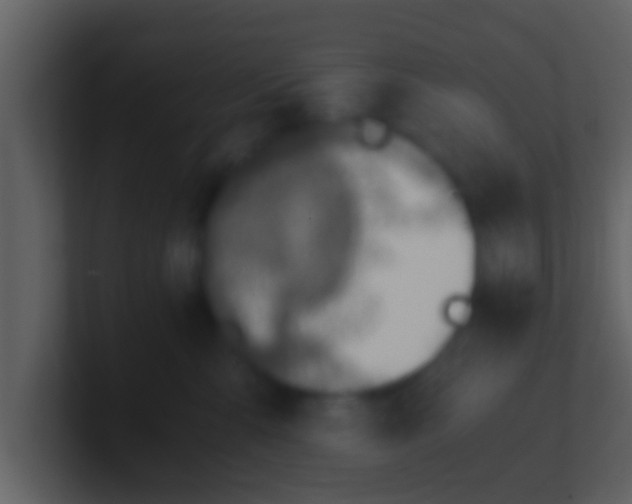 X0000100900427200807081107