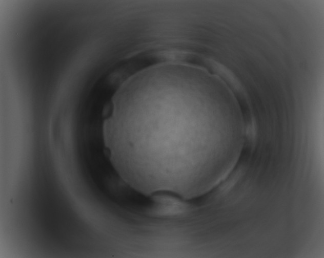 X0000100900429200807081107