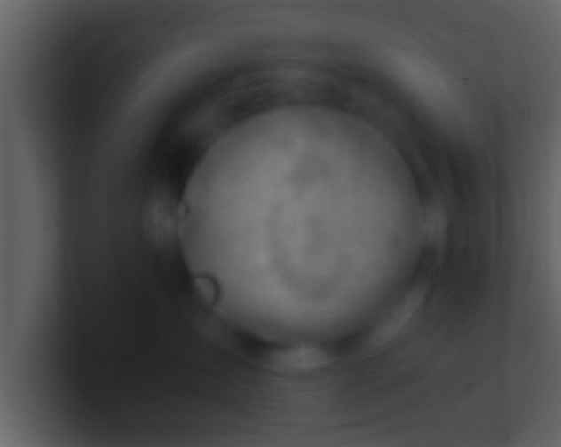 X0000100900431200807081107