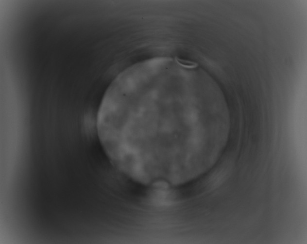 X0000100900432200807081107