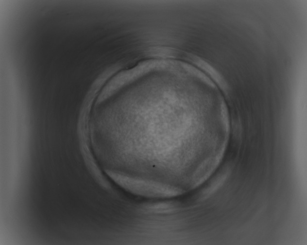 X0000100900433200807081106