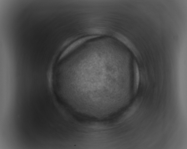 X0000100900434200807081106