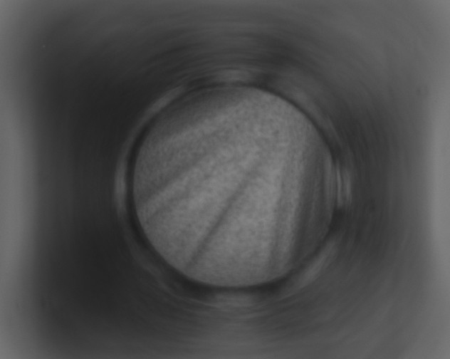 X0000100900435200807081106