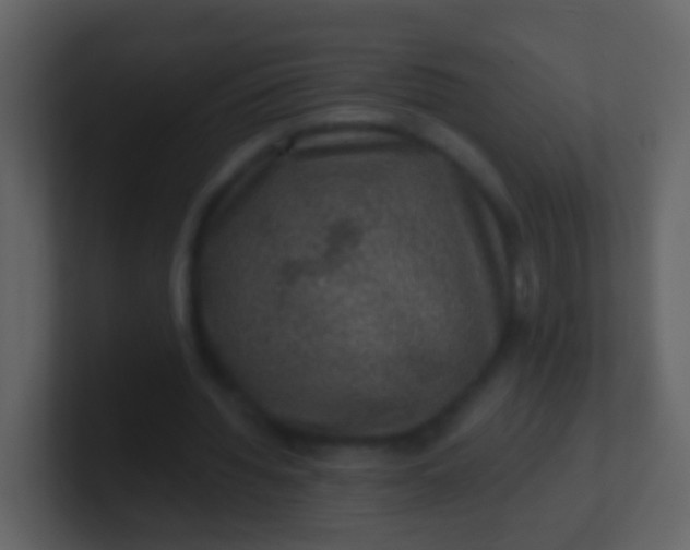 X0000100900436200807081106