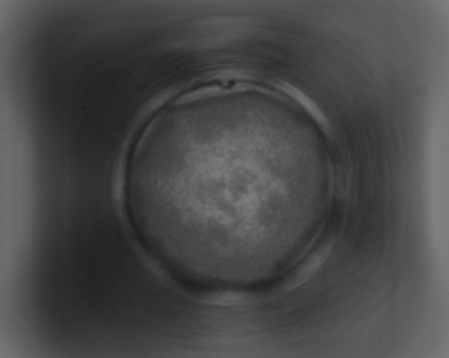 X0000100900437200807081106