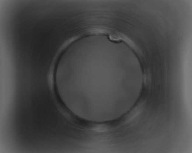 X0000100900438200807081106