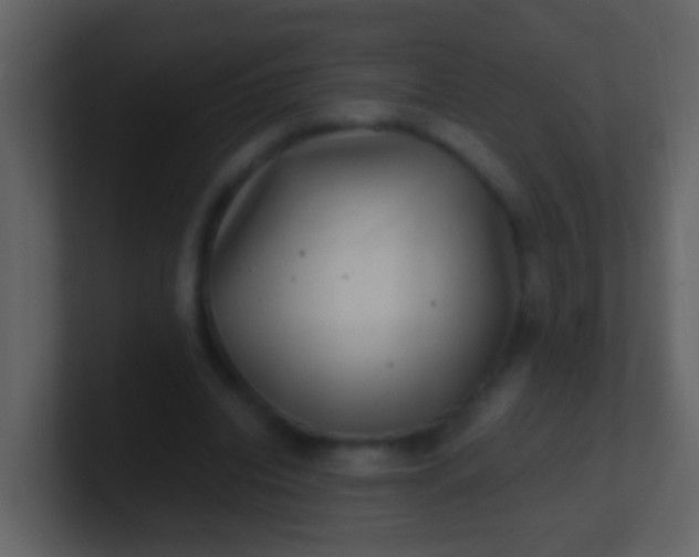 X0000100900440200807081106