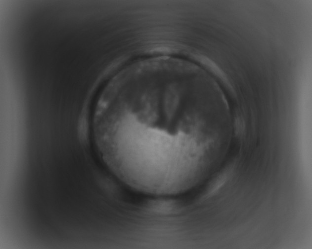 X0000100900444200807081106