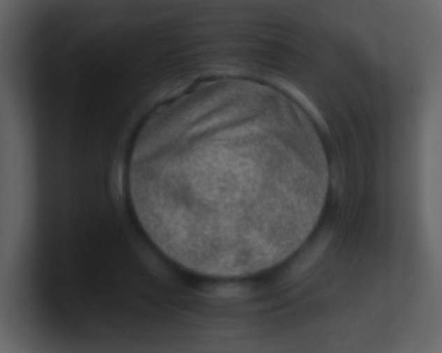 X0000100900445200807081106