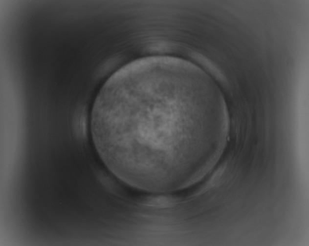 X0000100900446200807081106