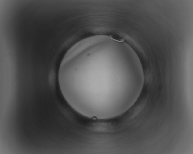 X0000100900448200807081106